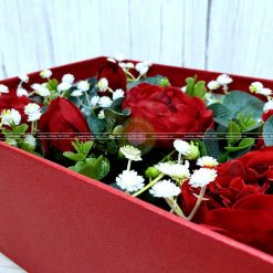 Hộp quà hoa hồng, hộp quà valentine HQ17 – Kích thước 23x17x7